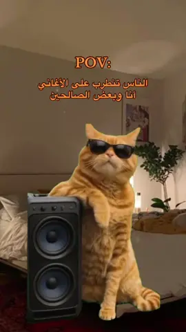حتى وانا مشغولة اصمم لكم😅#fyppppppppppppppppppppppp #stitch #foryou #foryoupage #fyp 
