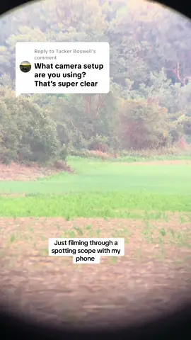 Replying to @Tucker Boswell 