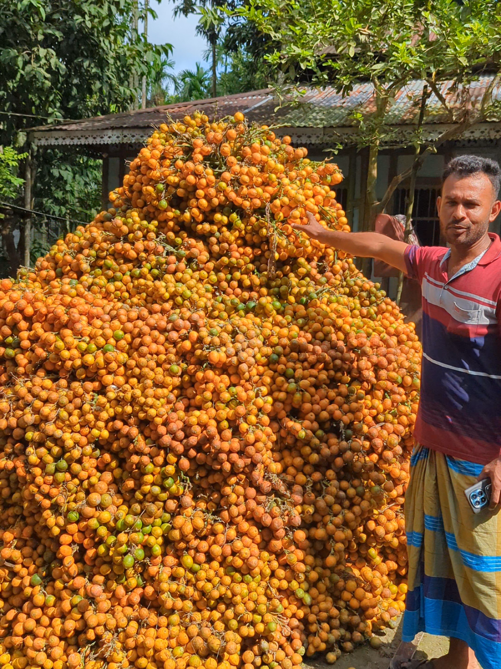 সুপারির পালা #farmlife #foryou 