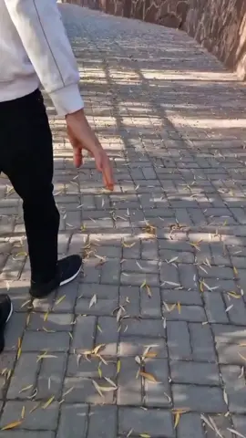 🤎 #реки #рекомендаци 