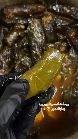 ورق عنب حامض ولذيذ . 🔥🌶️🌶️🌶️ .#ورق_عنب #ورق_عنب_سبايسي #الشارقة #فتة_ورق_عنب #الشعب_الصيني_ماله_حل😂😂 
