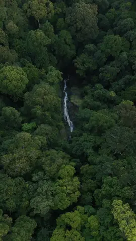 air terjun sungai karuh, air terjun tertinggi di kalsel yang pernah aku temui, air terjun ini terletak di area pos 2 pendakian gunung halau-halau #halauhalau1901mdpl #atapkalsel #airterjunsungaikaruh 