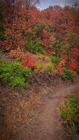 #Love #progressandawakening #taputwa #awakeningprojectfam #freeyourmindtribe @Emma♡TAP.Wa @Letmeflyu2themoon @ProgressOverPerfection @The Meditating Viking @angelahemmings415 @awakegreenberet @Jessica Haley 