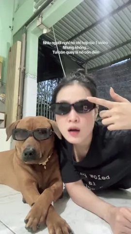 Thần thái nó đã ở trong🩸 