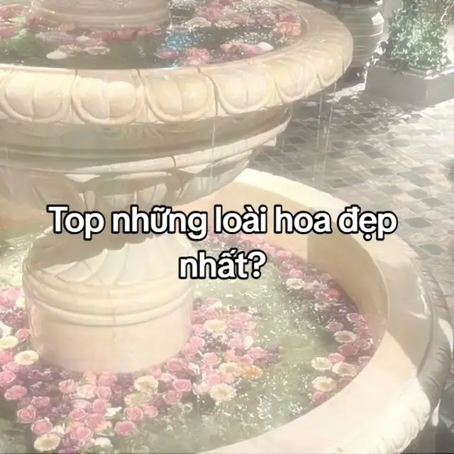 #Loaihoadepnhat #bonghoa #xhhhhhhhhhhhhhhhhhhhhhhh  #xuhuongtiktok #i love tik tok 