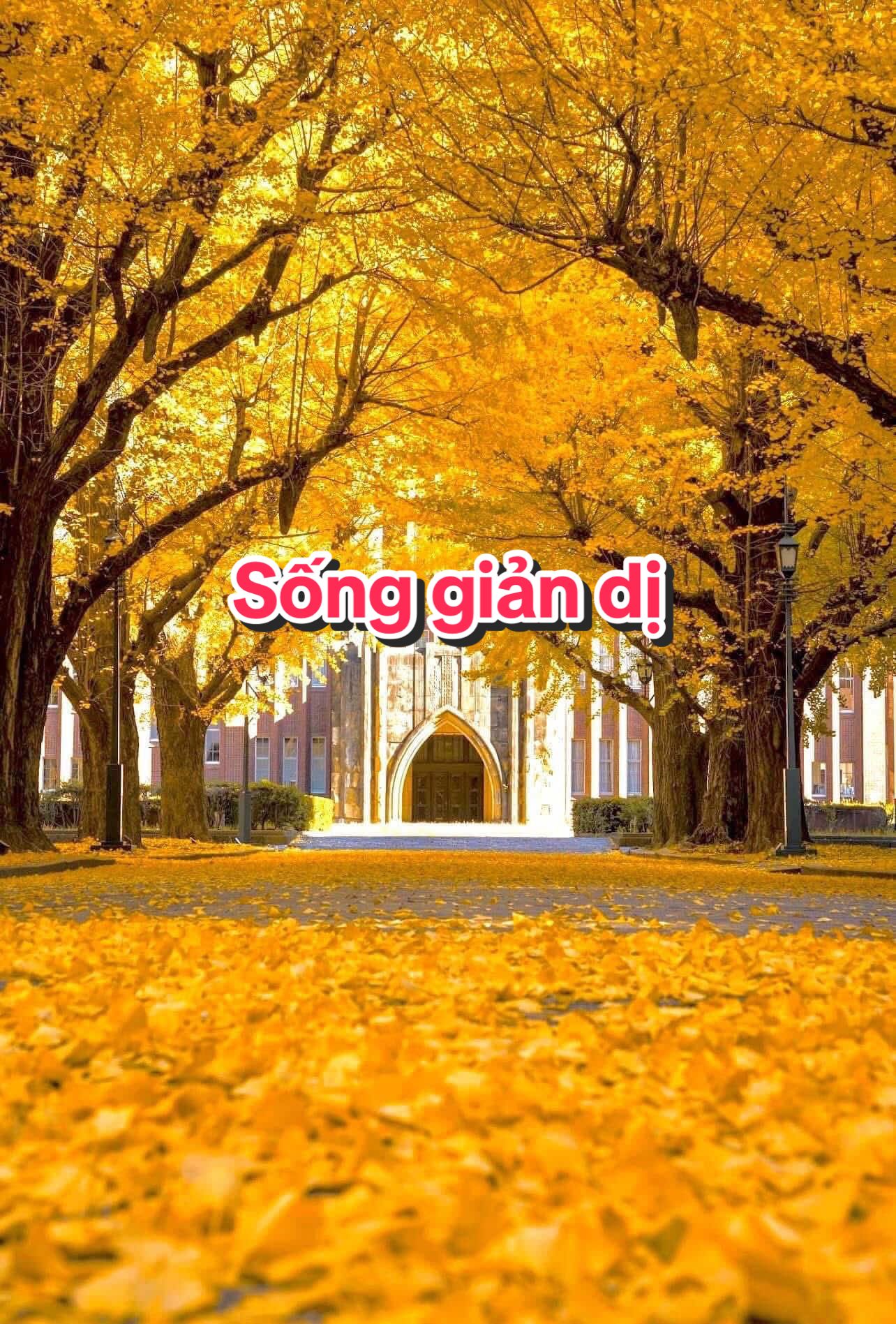 sống giản dị …. #songchamannhien  #trietlycuocsong  #baihoccuocsong  #xuhuong  #fyp 