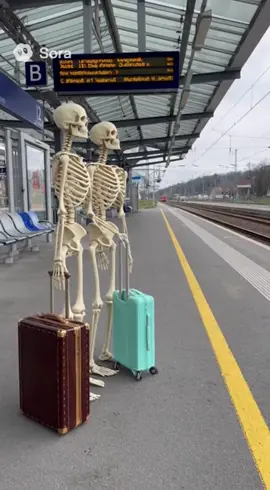 #fyp #viral #comedy #deutschebahn 