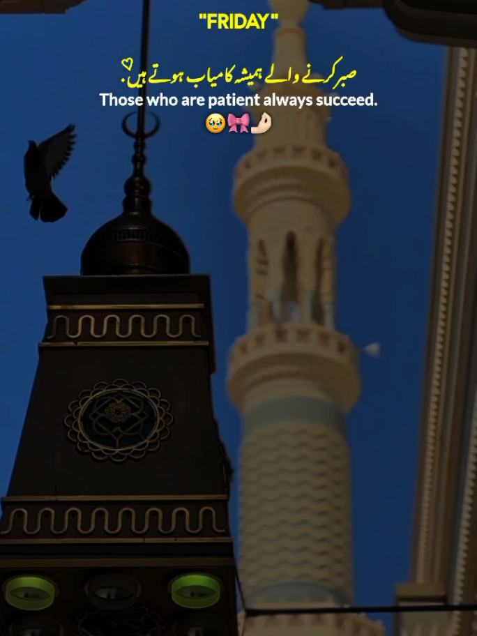 Friday 🌼🤲🏻 || Jummah Mubarak 🌙💗 || Friday Status ✨ || Jummah Mubarak New Status Video ✨ #friday #jummahmubarak #new #statusvideo #foryoupage 
