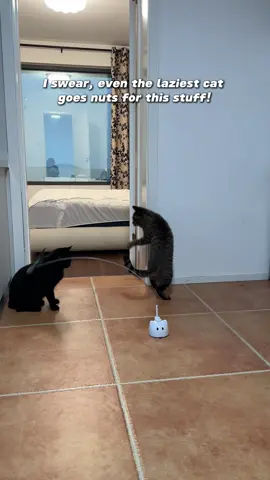 He used to sleep all day… now he’s obsessed!#catpick  #catmoms   #catsofttiktok  #cattoy   #pettoys 