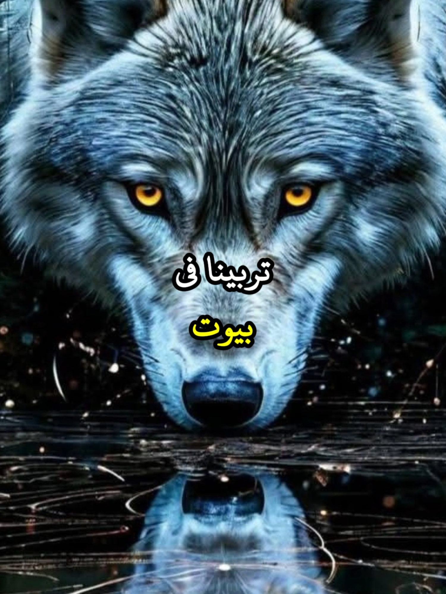 تربينا في بيوت اذا طرقت بابها خائفا حميناك🛡️ #تحفيزات_إيجابية #اطمئن #حكمة #خواطر #اكسبلور #اقتباسات #علم_النفس #نجاح #تطوير_الذات_علم_النفس #كلام_من_ذهب #اقتباسات_عبارات_خواطر #explore #viral_video #psychology #fyp #motivation