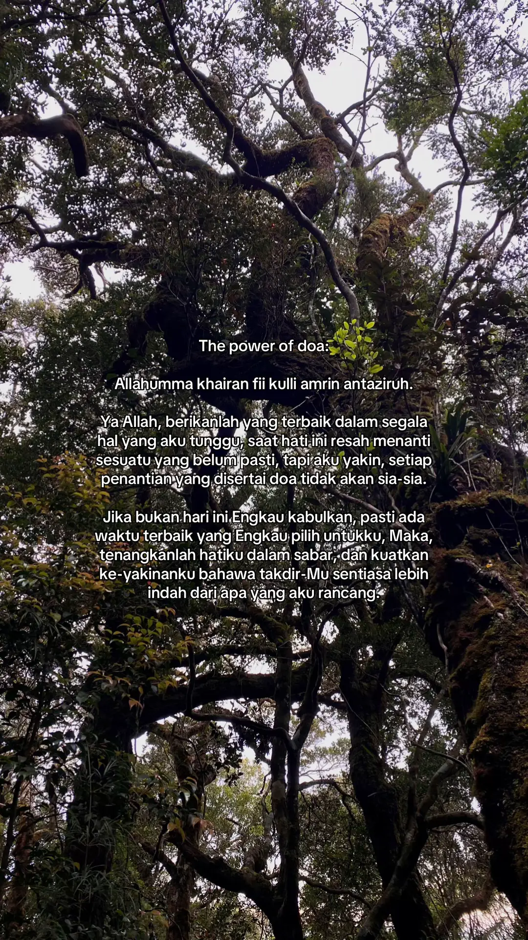 #quotes #foryoupage #fyp #reminderislamic 