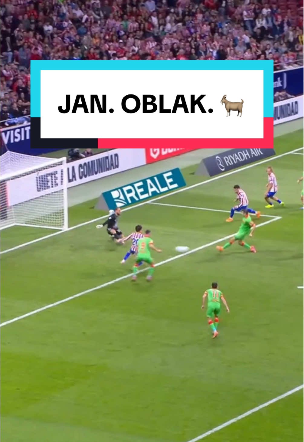 DON. JAN. OBLAK. 🐐 #atleticodemadrid #oblak #LALIGA #football #footballtiktok 