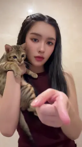 🥐 plz don’t grow up too fast! #lookkaewkamollak #fyp #tiktok #viral #cat 