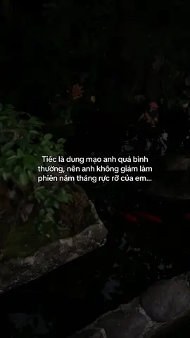 …#tamtrang #story 