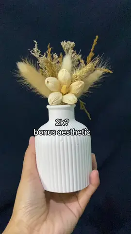 #modalkontendoang #sipalingaffiliate #vasbungaaesthetic #vasbungamurah 