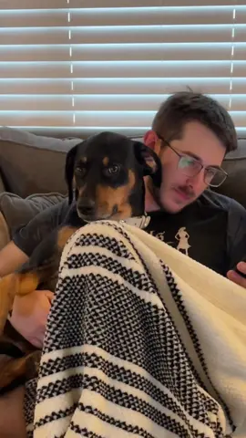 How she puts her paw on his knee 🥹