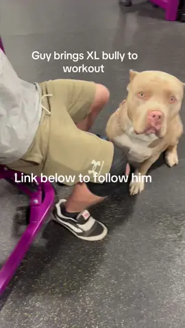 @⚡️KANE⚡️ & GRIZZLY 🧸 #doglover #workout #xlbully #dogs #makehimfamous #fit #workingout 
