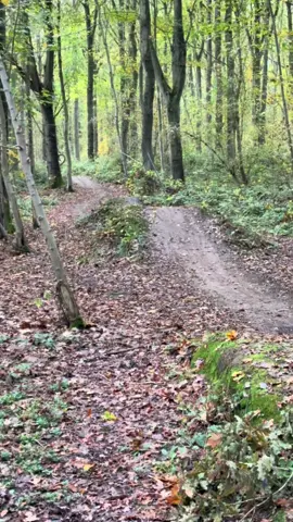 @charles._.agri @Charles._.on._.Marin                       #biking#downhill#viral #fypp 