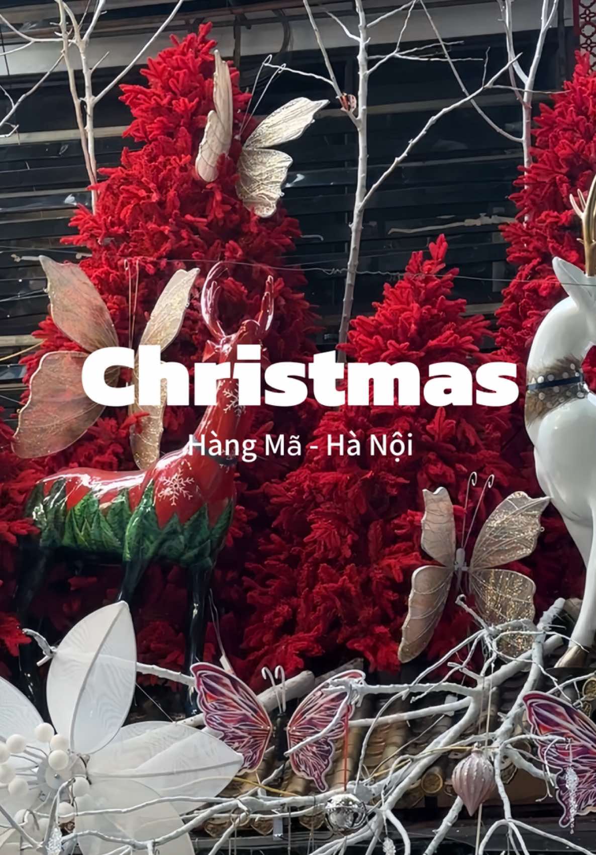 Giáng sinh về tới Hàng Mã rùui #viral #hanoi #giangsinh2025 #noel2025 #hangma 