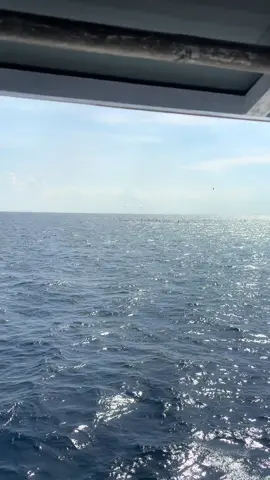 #KMNARISMA02 ketemu cintanya lagi 🤲#alhamdulillah❤️ #tetapsemangat💪💪 #kacalang #fypシ 