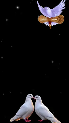 #دعاءليلةالجمعه #مساكم_سعادة_لاتنتهي #مساكم_الله_بالخير_والسعادة #🤲🤲🕋🕋🤲🤲 #مساءالخير 