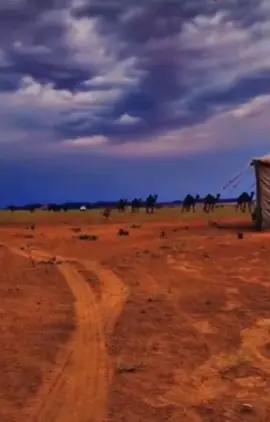 #في هذا اليوم 