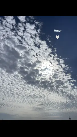 👴🏼#vuelvevidamia #paolarubio #viral #paratii #amorpaisano 