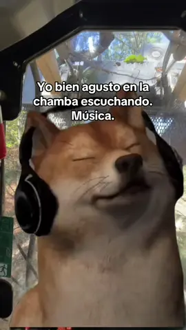 Fíjate en la letra fíjate en la letra. 😅😅😎😎#fypシcontiene #MemeCut 