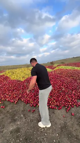 #moldova🇲🇩 #romania🇷🇴 #forupage #chisinsumoldova 