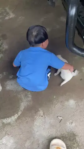 Ba chóp… yêu thích động vật 🐶🐕🐺🐩🐕‍🦺🦮🐾#lenxuhuong #Hungthinhsport #giaitritiktok #yeutiktok #fypシ゚viral 