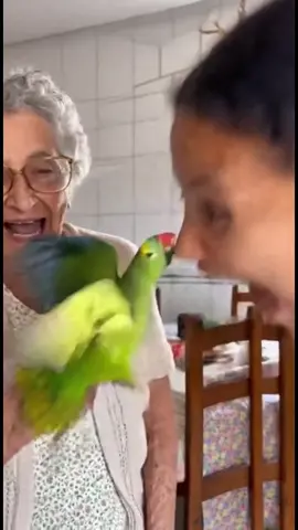 Feito com Sora 2 #humorviral #humor #Belinha #memes #Sora2