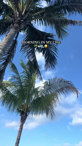 a good morning if you ask me!  