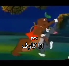 #fyp #كارف #foryou #foryoupage #توم   ✨انا كارف للدراسه✨