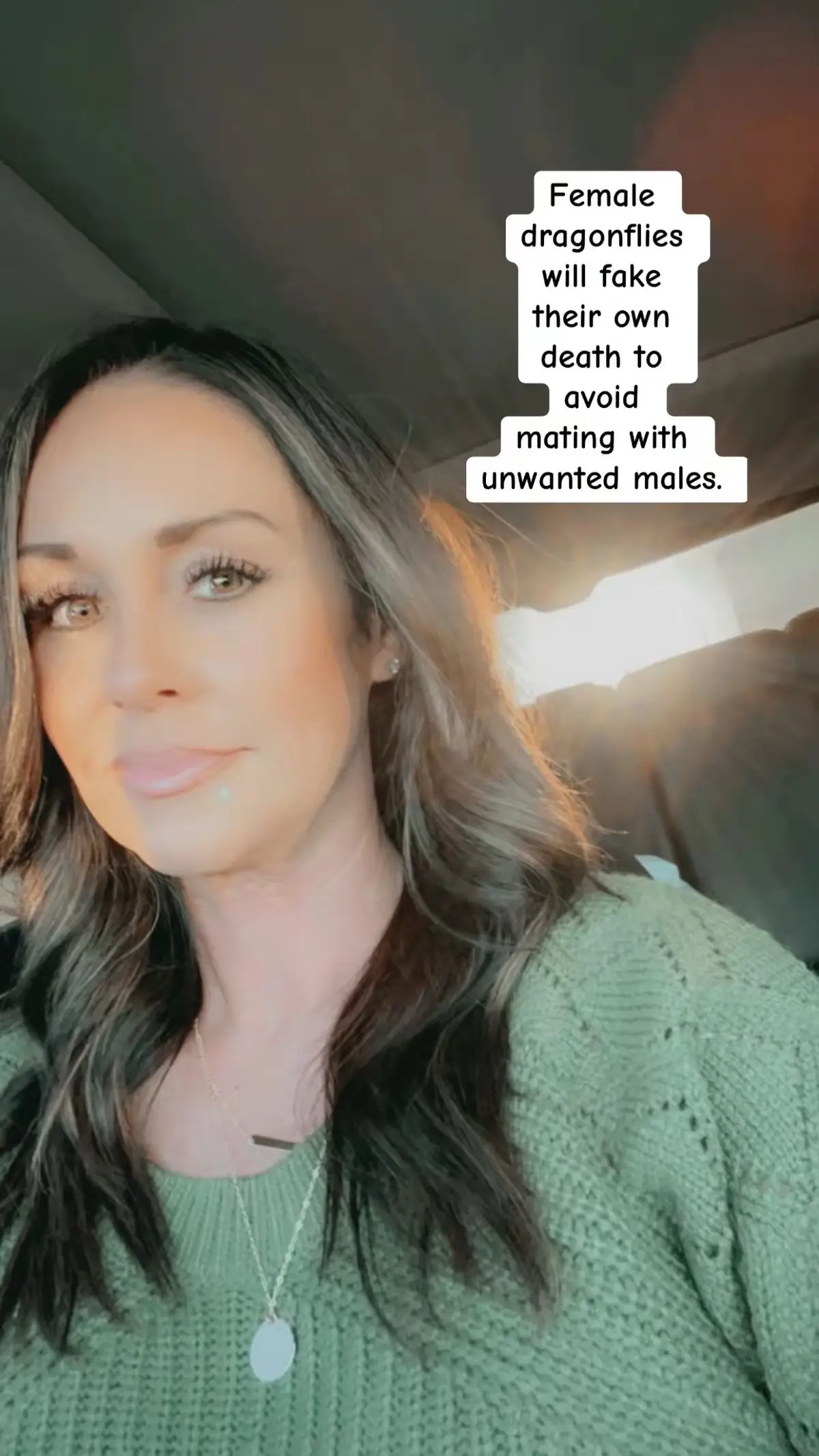 Just call me a dragonfly!