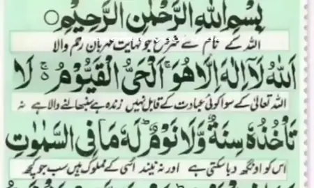 Ayat ul kursi ❤️ . . . #hoco #UFC #Homecoming #ownvideo #plzsupportme 