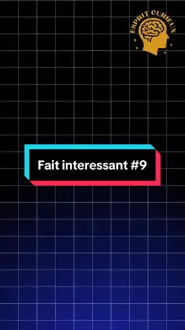 Ça n’a pas buzzé donc je reposte #terre #apprendresurtiktok #earth 