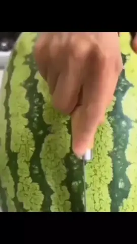 Dị nhoaaaa. Chúc ngủ ngong #viral #cat #meo #funny #xuhuong 