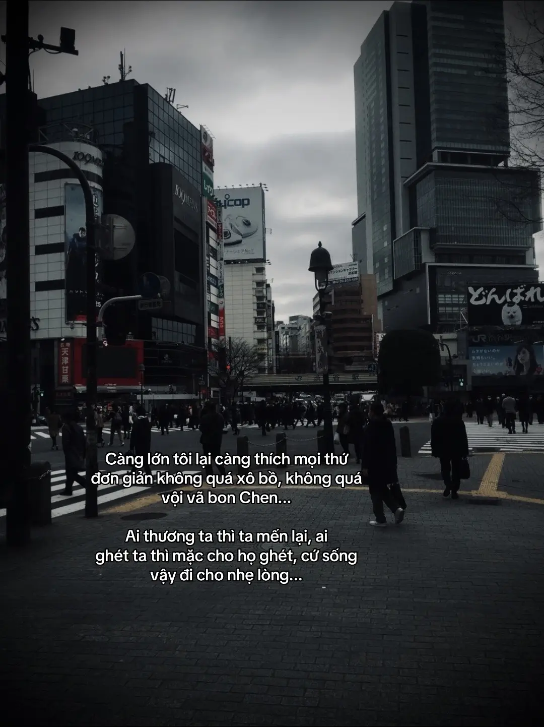 Càng lớn tôi lại càng thích mọi thứ đơn giản không quá xô bồ, không quá vội vã bon Chen... #tâmtrạng #story #sttdoi #TenTen🍁 