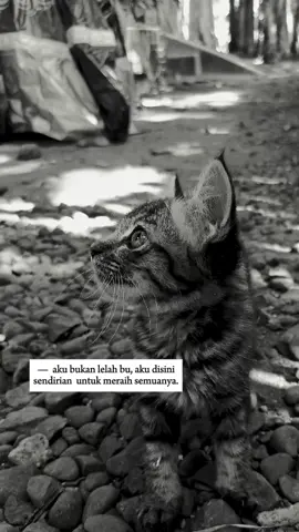 capek sih, tapi gak papa. Semua lagi aku perjuangin pelan-pelan buk,tunggu aku sukses ya😊 #berandamufypシ #moots? #pejuangmuda #anakmuda #fyppppppppppppppppppppppp 