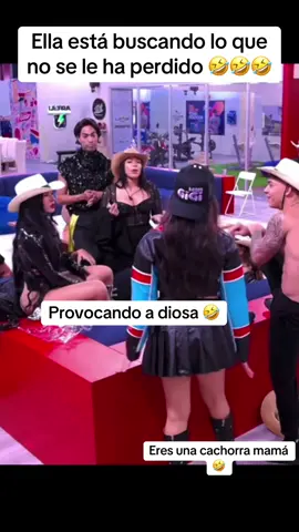 Está buscándole las 4 patas al gato Diosmio mija, DIOSA PEGA DURO 🤣🤣🤣🤣   #diosacanales #rd #alofoke #pelea #venezuela 