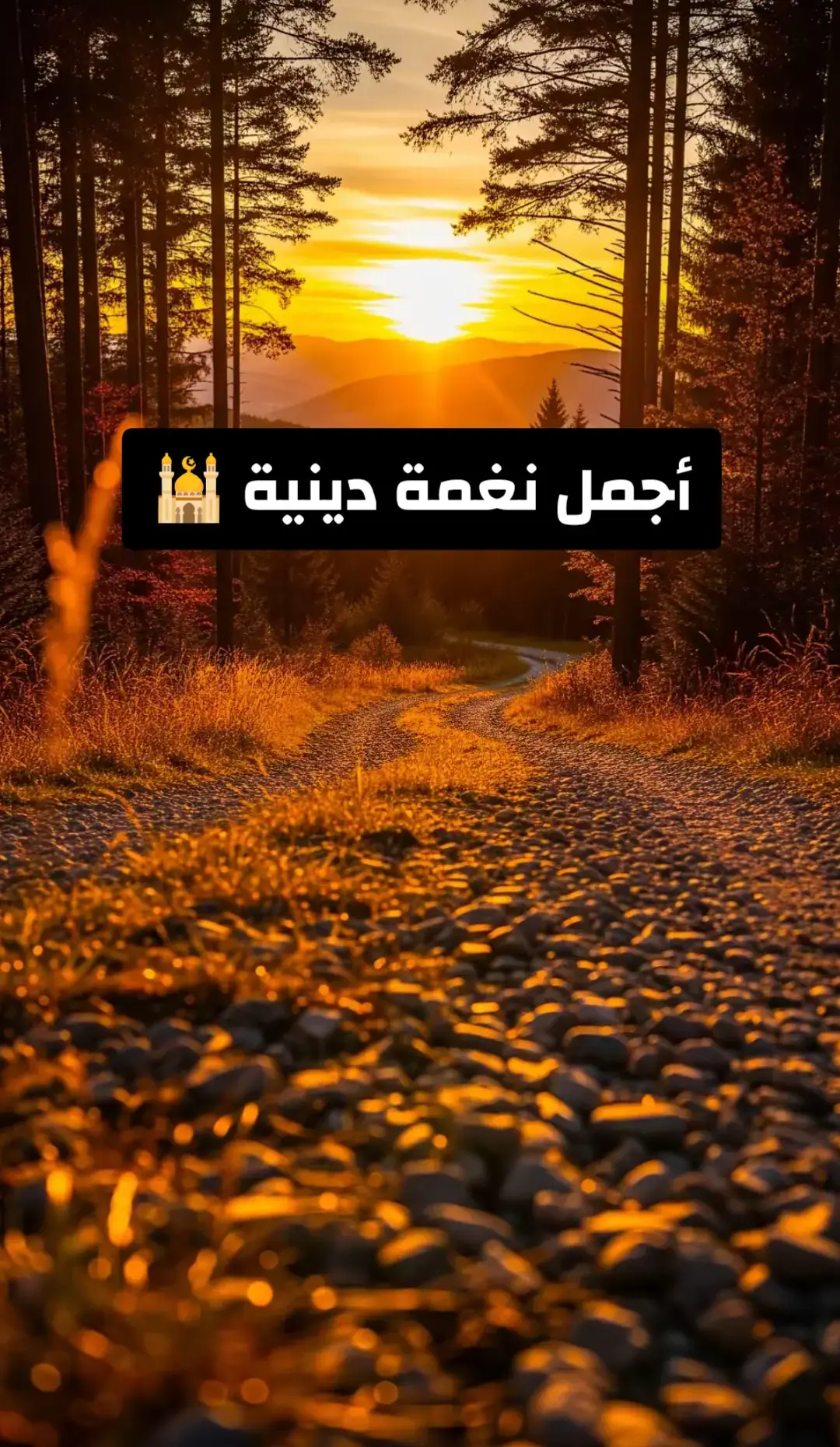 #نغمات🎻 #نغمه #foryou #نغمه_دينية #نغمات_جوال 