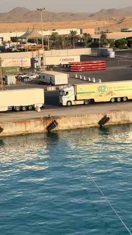 #ابو_الشاويش_الدولي 