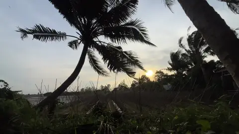 🌾 Cảnh này không quay thì phí một buổi hoàng hôn quê! #viral #queyenbinh #chill #hoanghon 