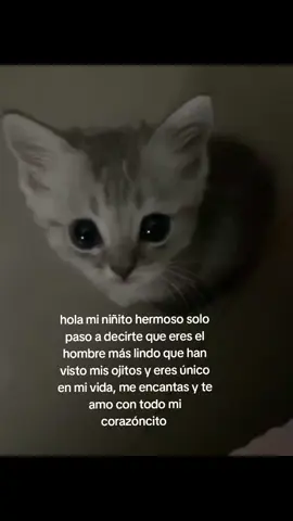 shi mi bebito 💗 #paratiiiiiiiiiiiiiiiiiiiiiiiiiiiiiii #gatitos #Love #ilovemibf 