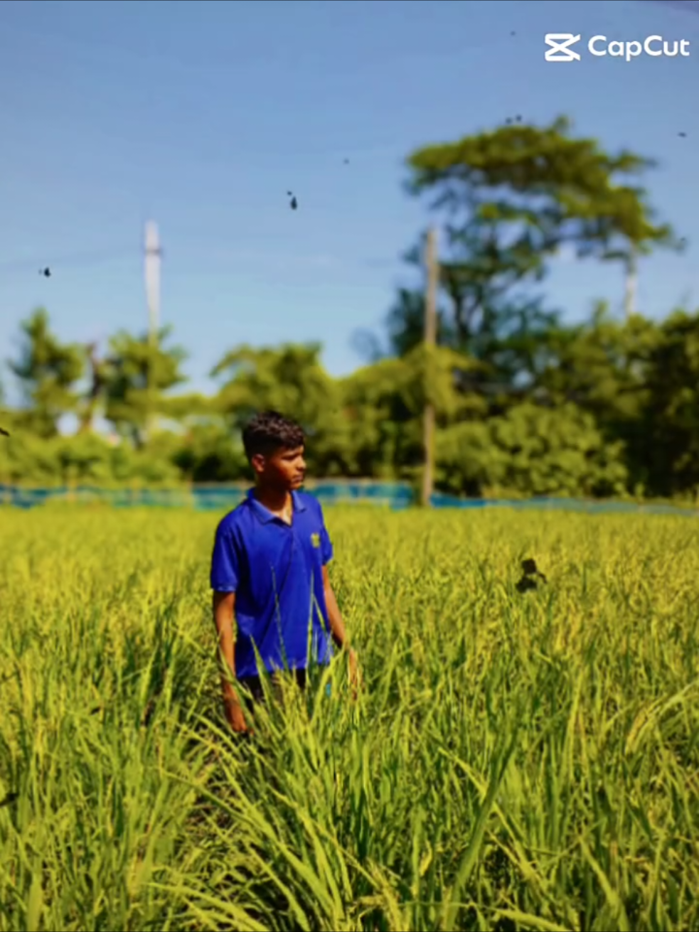 😅😟😥😭😥#CapCut #TikTok #foryou #ভিডিওটি_শেষ_পর্যন্ত_দেখো @TikTok Bangladesh #creatorsearchinsights 