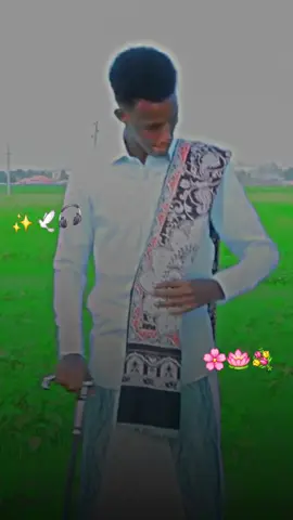 Abwaan nuur goosaar ✨🕊️🎧#dhaantosomali #dhanto #dhaantosomali #foryoupage❤️❤️ #mohN_leyrics 