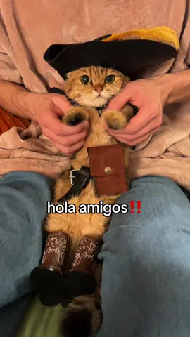 bert in boots ‼️ can u guess the next costume ⁉️ #fypppppppppppppppppppppppppppppp #doobscoobgoob #catsoftiktok #halloween 