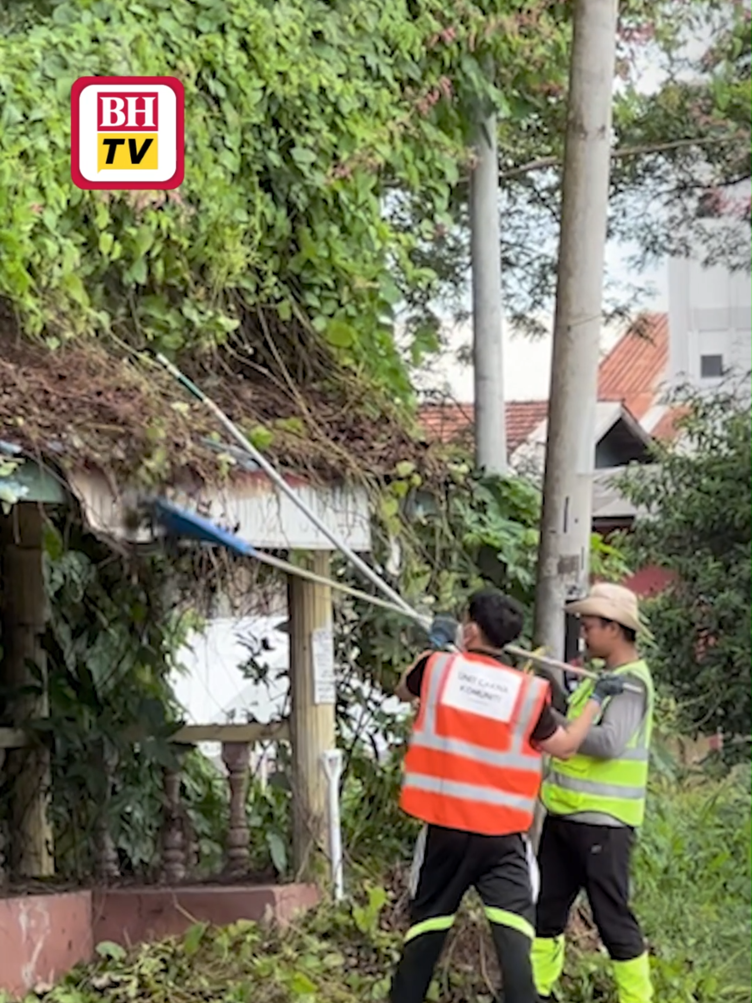 Seorang anak muda berkorban masa dengan melakukan kerja komuniti, termasuk mencuci longkang, memotong rumput di tepi jalan, membuang dahan pokok, mencuci pondok menunggu bas dan membersihkan kaki lima di laluan pejalan kaki di bandar ini untuk memastikan ia selamat dilalui.