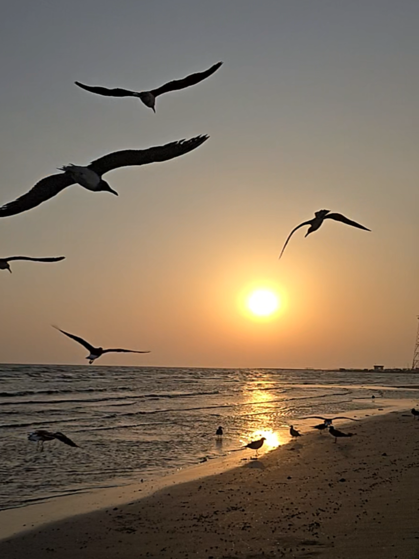 #الشقيق #شاطئ_الشقيق #يحر #تصويري  #غروب_الشمس 