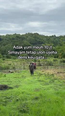 Nepikei dilei yoh goh telahhh😂😂